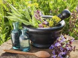 داروی گیاهی عصاره دیابت